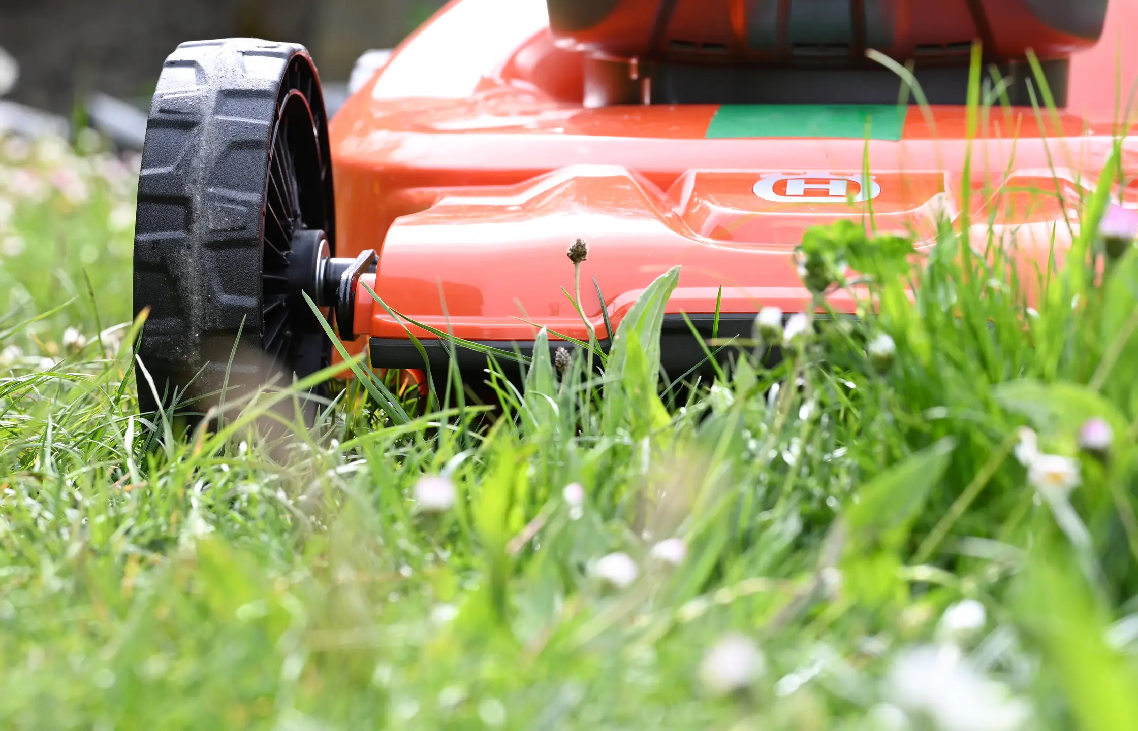 Professionelle Rasenpflege